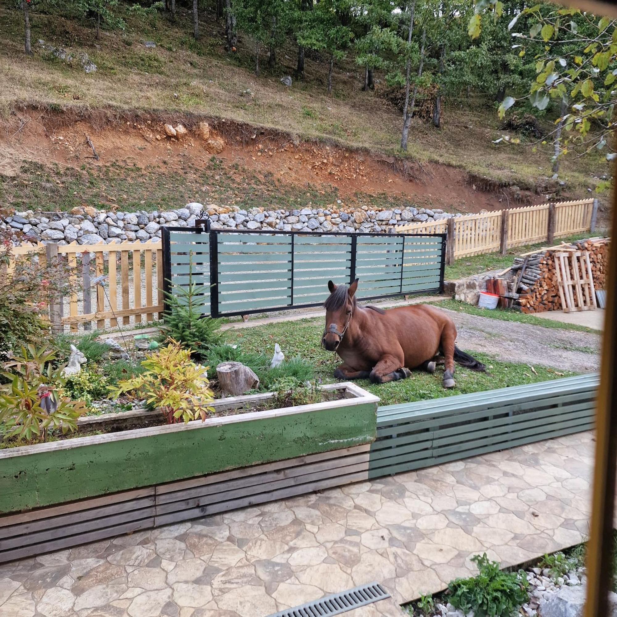 Apartmani Vukomanovo Mojkovac Exterior foto